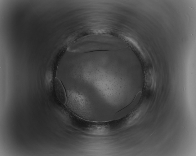 X0000088080260200705251414