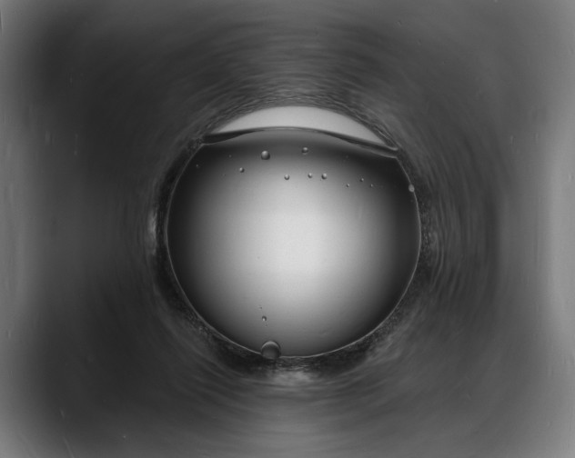 X0000088080262200705251414