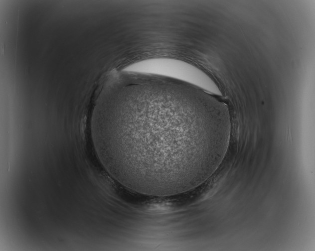 X0000088080263200705251414