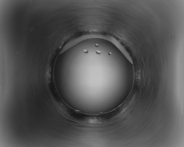 X0000088080264200705251414