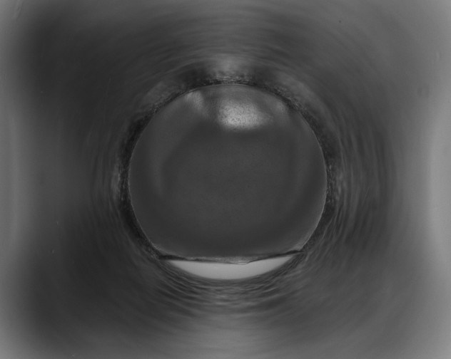 X0000088080266200705251414