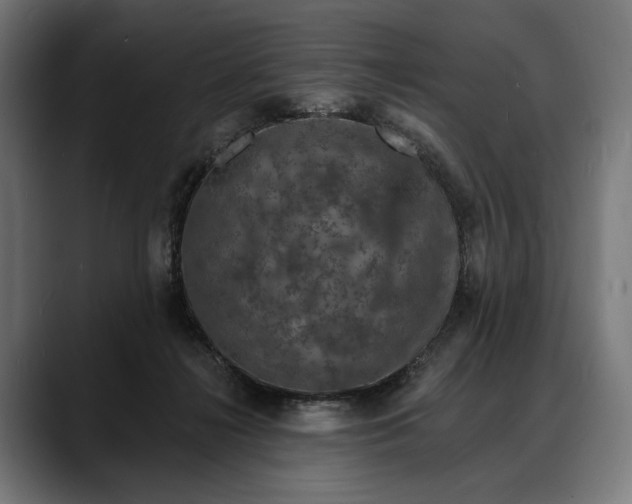 X0000088080268200705251414