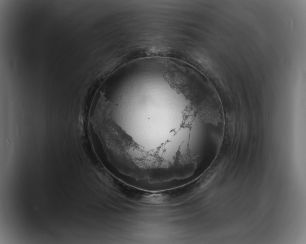 X0000088080269200705251414