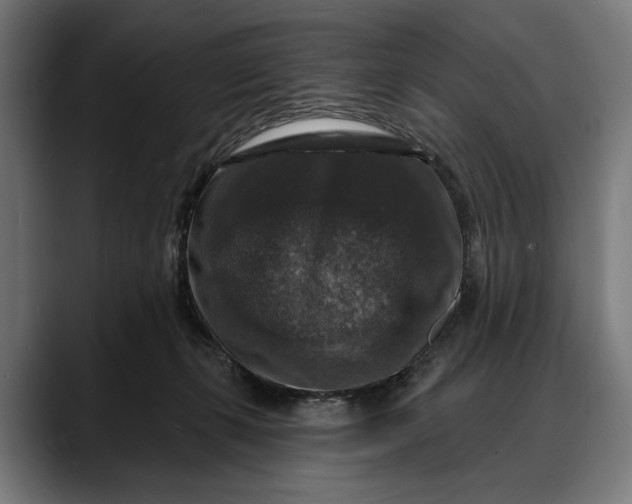 X0000088080271200705251414