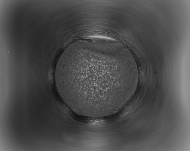 X0000088080274200705251414