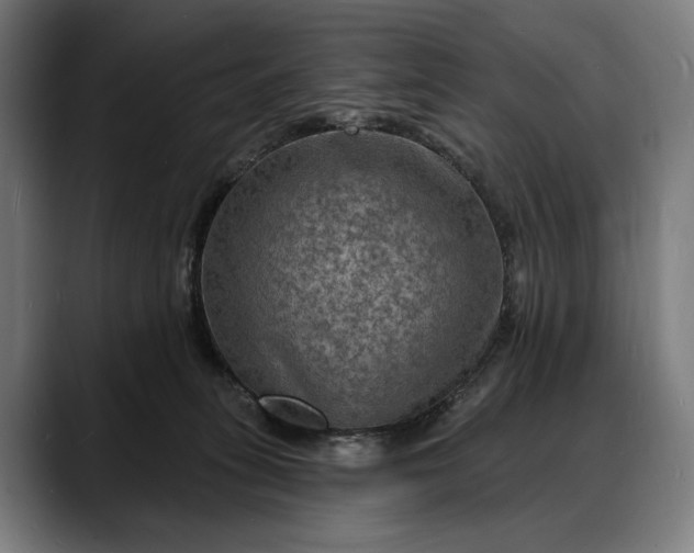 X0000088080275200705251414