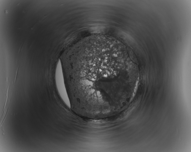 X0000088080277200705251414