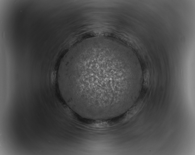 X0000088080278200705251414