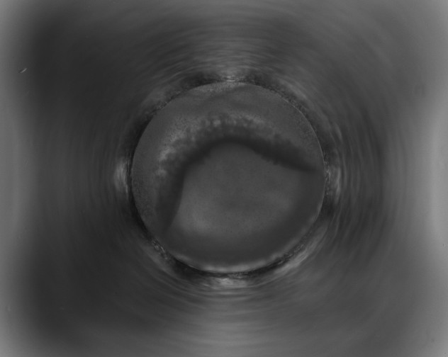 X0000088080286200705251414