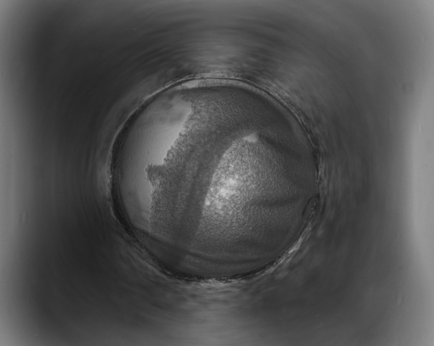 X0000088080290200705251414