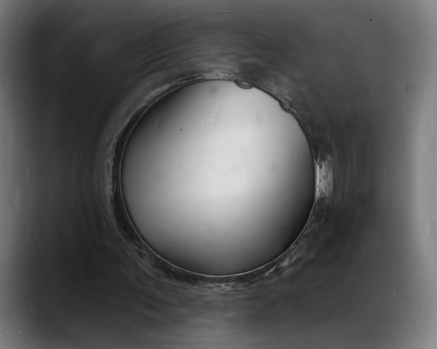 X0000088080291200705251414