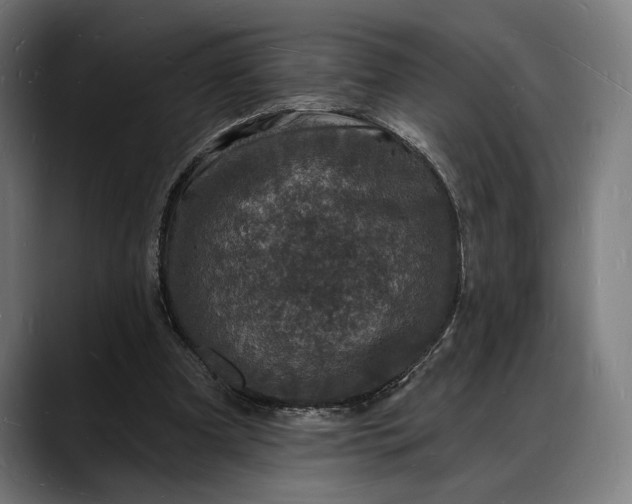 X0000088080297200705251414