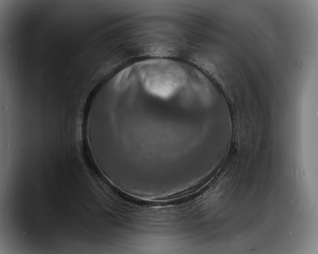 X0000088080299200705251414