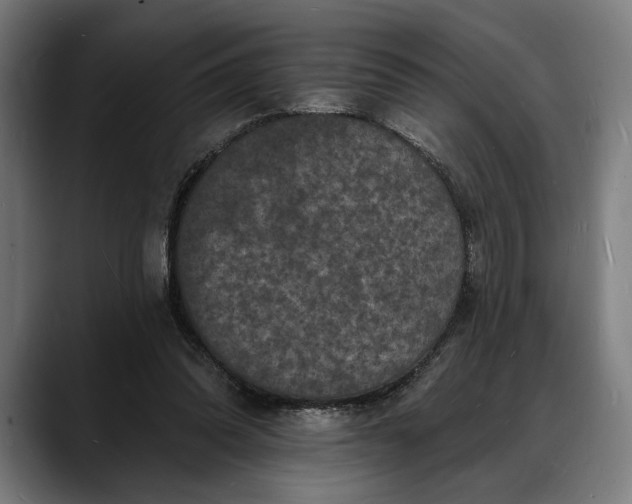 X0000088080302200705251414