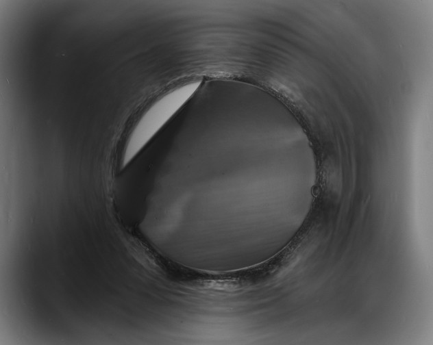 X0000088080303200705251414