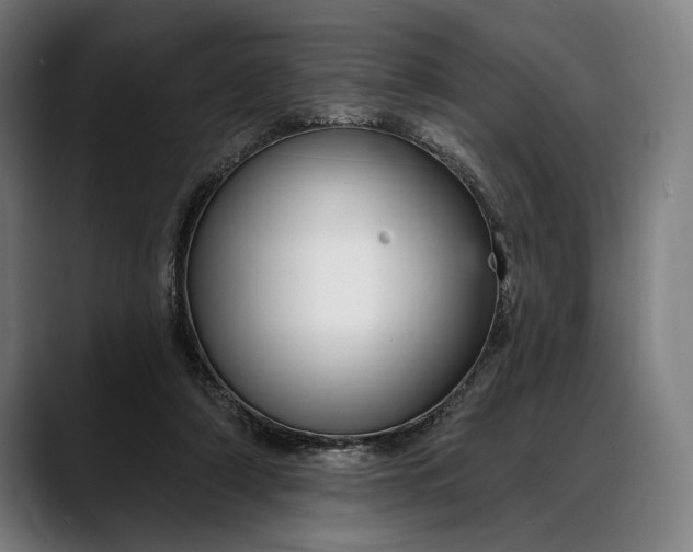 X0000088080306200705251414