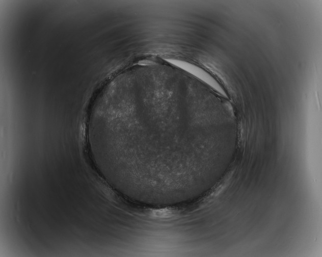 X0000088080309200705251413