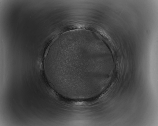 X0000088080313200705251413