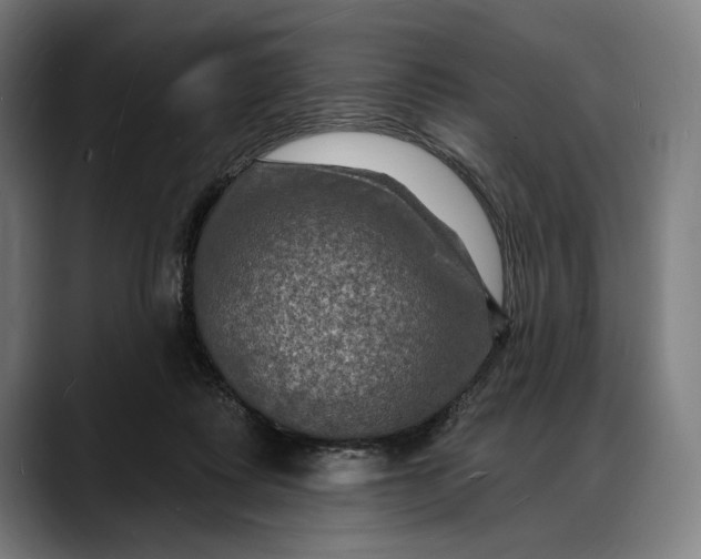 X0000088080315200705251413