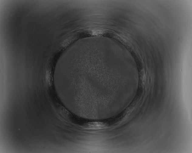 X0000088080316200705251413