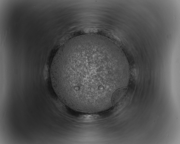 X0000088080323200705251413