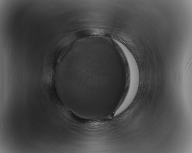 X0000088080325200705251413