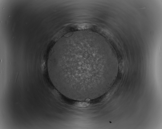 X0000088080327200705251413