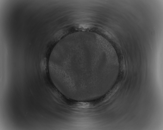 X0000088080328200705251413