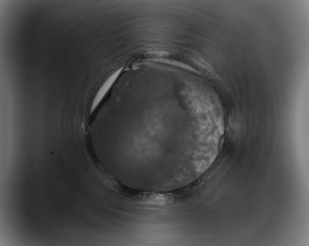 X0000088080330200705251413