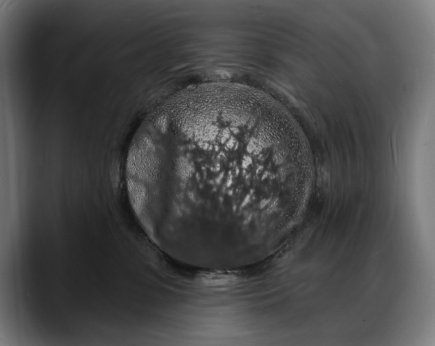 X0000088080331200705251413
