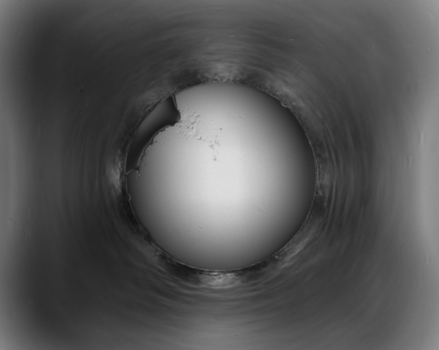 X0000088080334200705251413