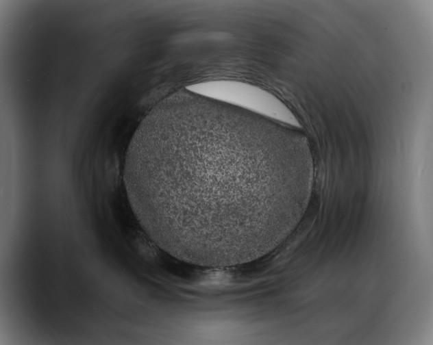 X0000088080335200705251413