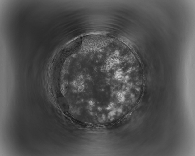 X0000088080337200705251413