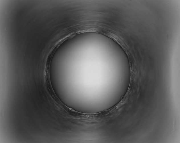 X0000088080338200705251413