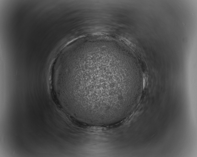 X0000088080339200705251413