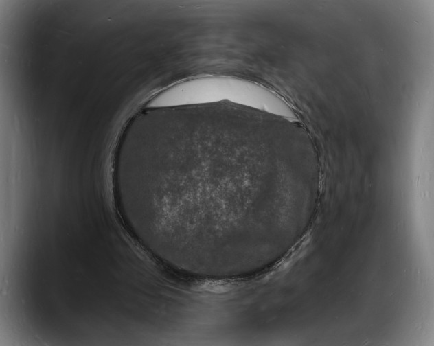 X0000088080341200705251413