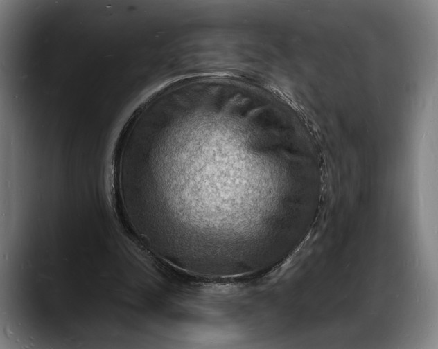 X0000088080342200705251413