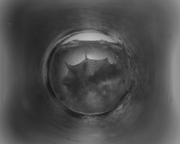 X0000088080343200705251413