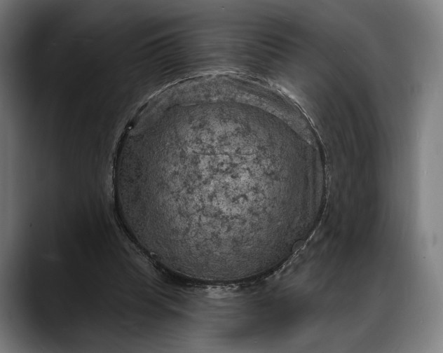 X0000088080345200705251413