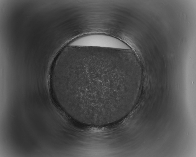 X0000088080346200705251413