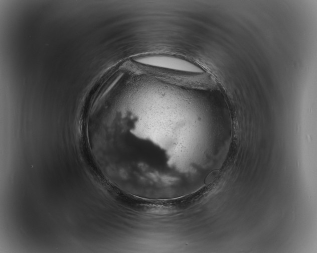 X0000088080347200705251413