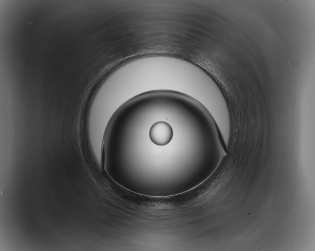 X0000088080348200705251413