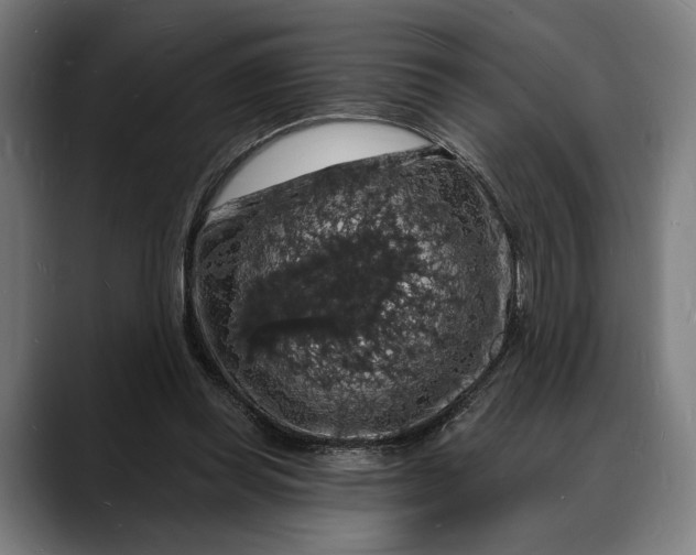 X0000088080349200705251413