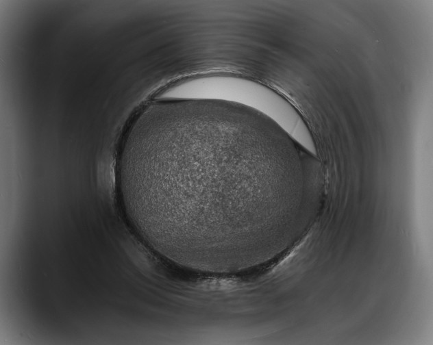 X0000088080350200705251413
