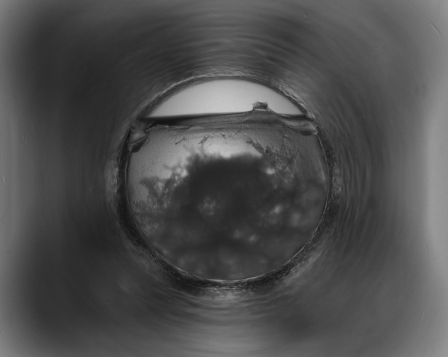 X0000088080351200705251413