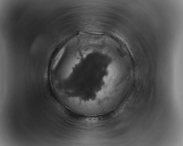 X0000088080353200705251413