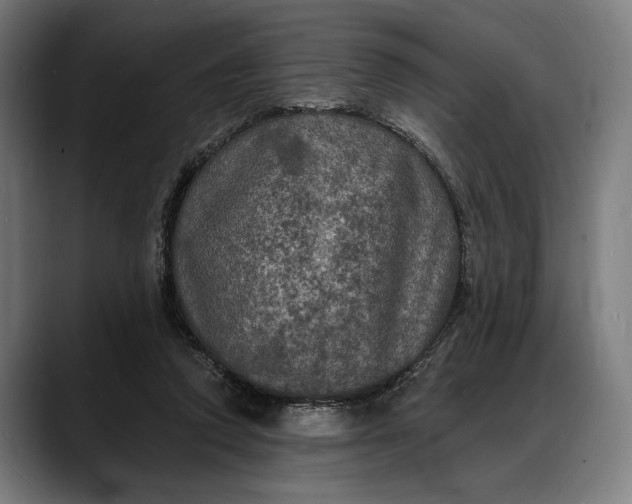 X0000088080354200705251413