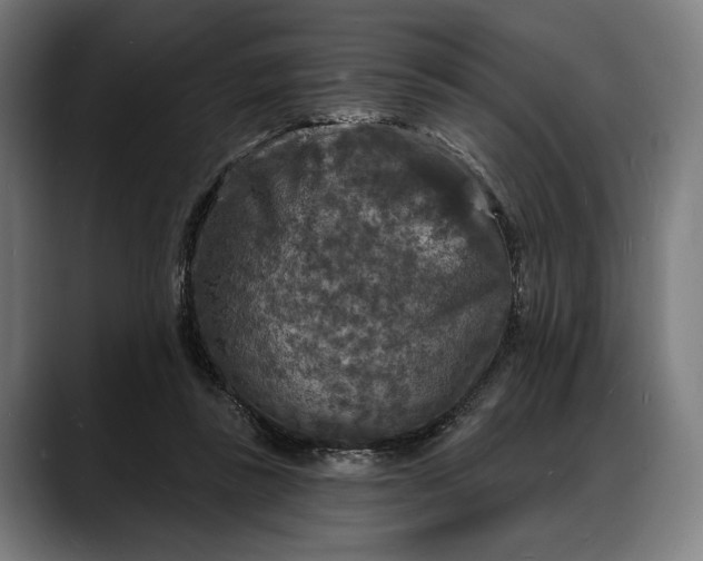 X0000088080355200705251413