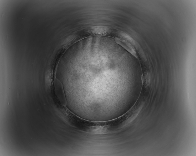 X0000088080356200705251413