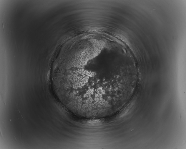 X0000088080357200705251413